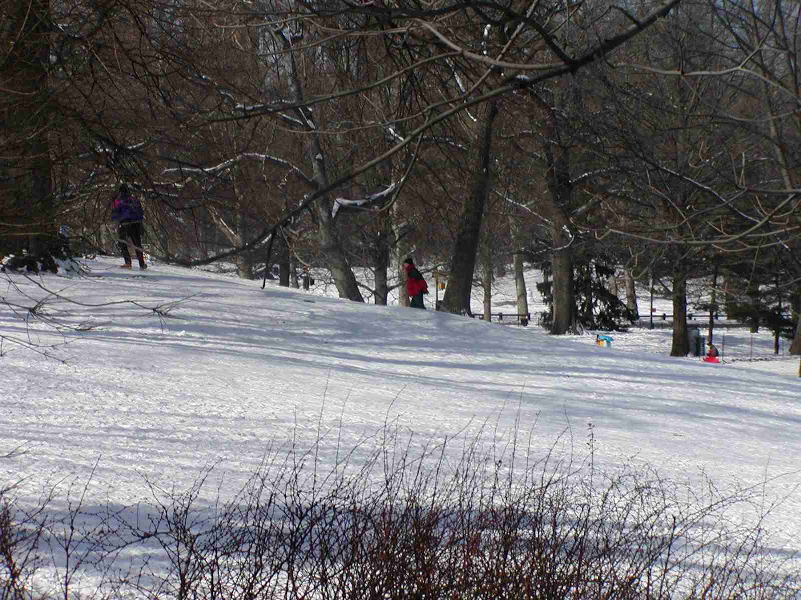 0902_-_nyc_-_5th_ave_-_central_park_-_snow_sleds