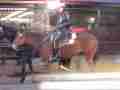 0902_-_nyc_-_42nd_street_-_nypd_on_horse