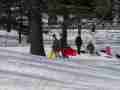 0902_-_nyc_-_5th_ave_-_central_park_-_snow_sleds_2