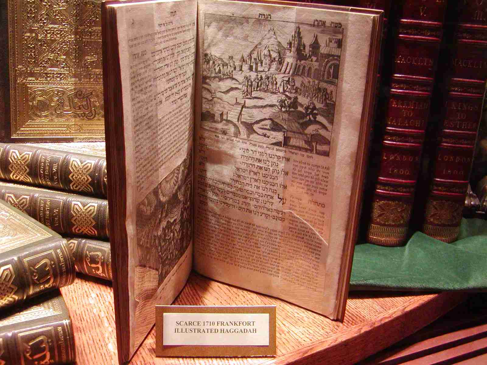 1204_-_nyc_-_old_books_store_2