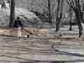 1304_-_central_park