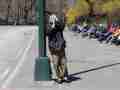 1304_-_central_park_-_andrew