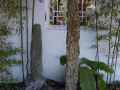 46_dr_sun_yat-sen_garden