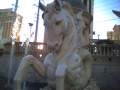 picture006_12mar05