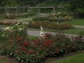 crw_2330