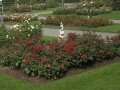 crw_2331