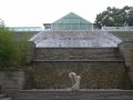 crw_2365