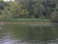 crw_2392