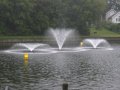 crw_2395