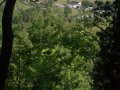crw_2422