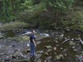 crw_2453