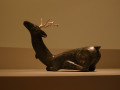crw_2539