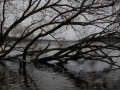 crw_2551