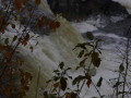 crw_2555