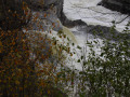 crw_2556