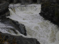 crw_2558