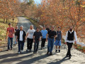 dsc_3932-vi