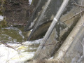 crw_3023