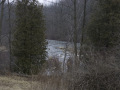 crw_3035