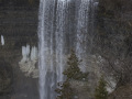 crw_3036