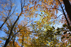 07-10-orangeville