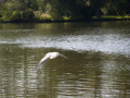 crw_3182