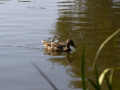 crw_3184