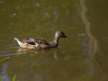 crw_3188