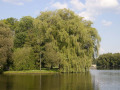crw_3199