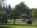 crw_3202