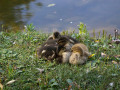 crw_3208