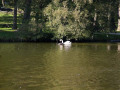 crw_3209