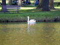 crw_3210