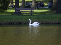 crw_3212