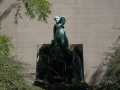 crw_3146