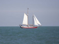 crw_3174