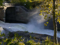crw_3221