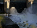 crw_3229