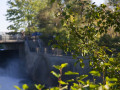 crw_3231