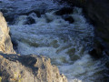 crw_3236