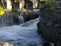 crw_3237