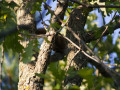 crw_3241
