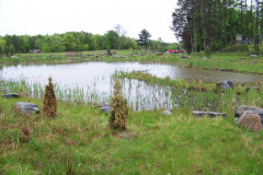 09-05-muskoka