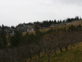 img_0205