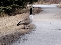 IMG_20230419_181541773