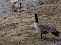 IMG_20230419_181611543