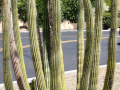 IMG_20230522_105020062_HDR
