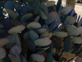 IMG_20230522_105047054_HDR