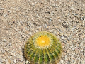 IMG_20230522_105133817_HDR