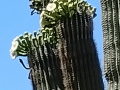 IMG_20230522_105806844